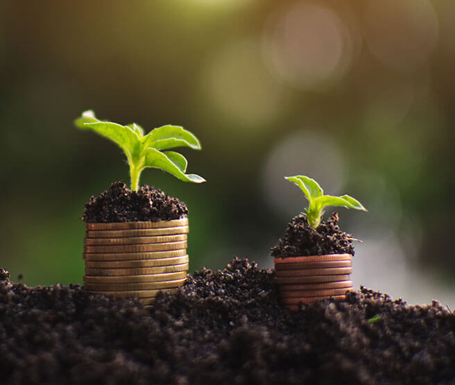 Coins in soil with plants growing on top of them